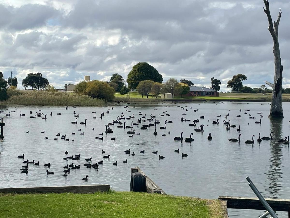 Tasman Holiday Parks - Lake Mulwala Ngoại thất bức ảnh
